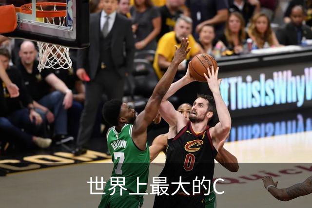 世界上最大的C#网站，被AI干掉了 ！